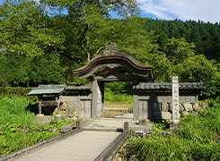 オプショナルツアー